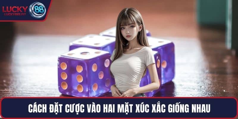 Cách đặt cược vào hai mặt xúc xắc giống nhau