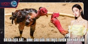 Đá Gà cựa sắt