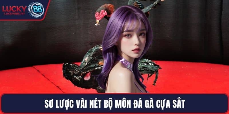 Sơ lược vài nét bộ môn đá gà cựa sắt