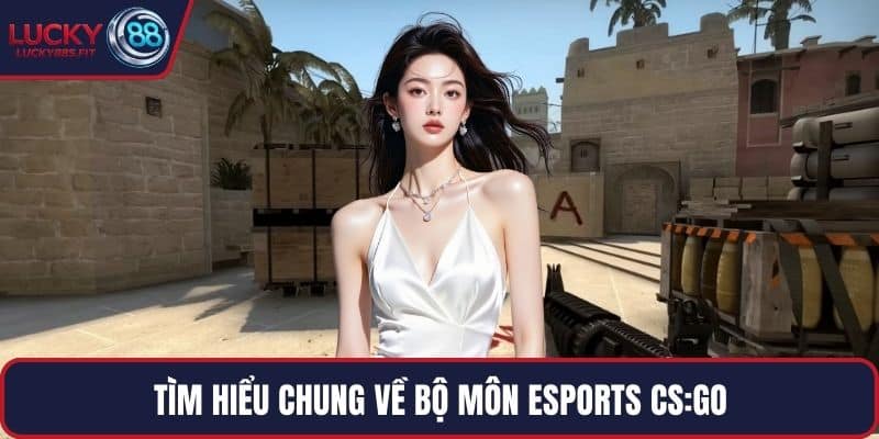 Tìm hiểu chung về bộ môn Esports CS:GO